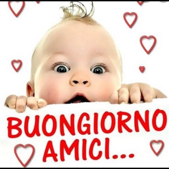 Meet your Posher, Genevieve - Picture 7 of 15